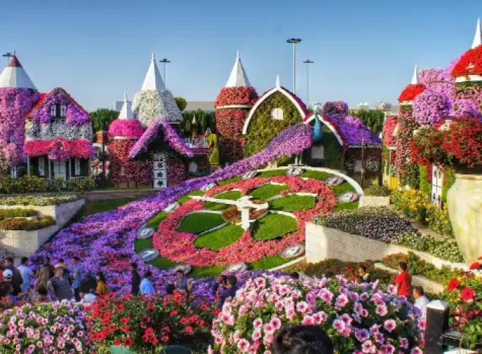 Miracle Garden-Dubai-entry-ticketsThe Dubai Miracle Garden is one of the most beautiful garden in the world. With over 150 million flowers, spanning numerous different species, the largest natural flower garden in the world is deserving of your visit.