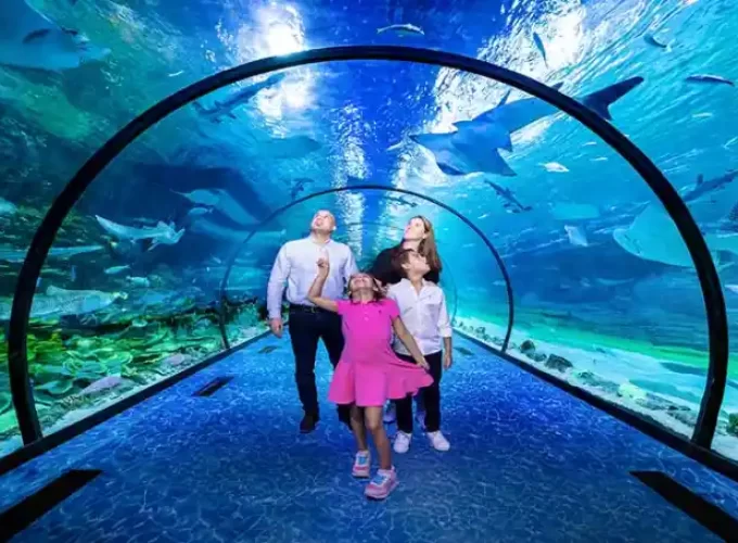 The National Aquarium Abu Dhabi is one of the biggest aquarium in the region and contains 46,000 marine animals spread across 10 zones. The largest aquarium in the Middle East, measuring 9000 square meters, was created on an epic scale. Book your tickets online to the National Aquarium Abu Dhabi and discover the fascinating marine life.