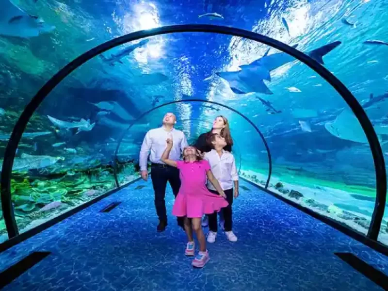The National Aquarium Abu Dhabi is one of the biggest aquarium in the region and contains 46,000 marine animals spread across 10 zones. The largest aquarium in the Middle East, measuring 9000 square meters, was created on an epic scale. Book your tickets online to the National Aquarium Abu Dhabi and discover the fascinating marine life.